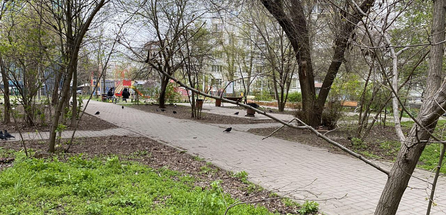 3к. бульвар Комарова 11/2